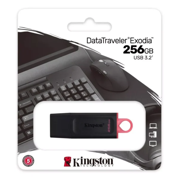 فلاشة 256 جيجا كينج ستون KingSton DataTraveler Exodia USB 3.2