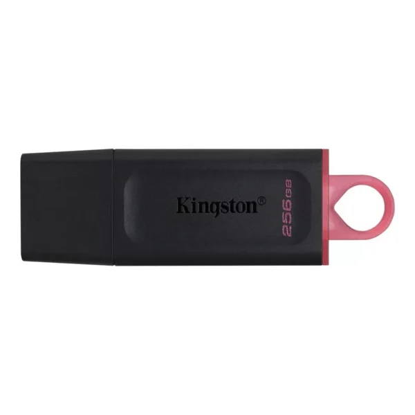 فلاشة 256 جيجا كينج ستون KingSton DataTraveler Exodia USB 3.2