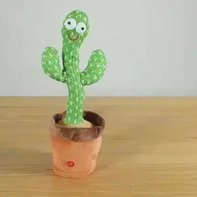 الصبارة الراقصة