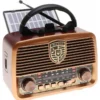 راديو جولون golon radio ICF-F25 يدعم فلاشة وكارت ميمورى